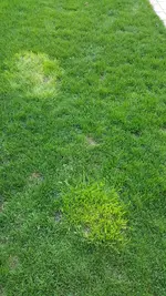2016-04-05 19.08.35.webp