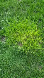 2016-04-05 19.08.39.webp