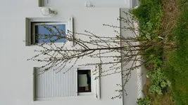 20160406_191012.webp