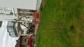 20160406_191037.jpg