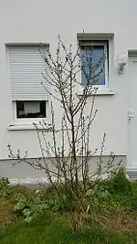 Unbenannt1.webp