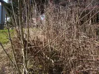 BILD4872.webp