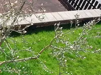 20160408_133530.webp