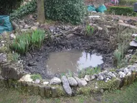 IMG_9893.jpg