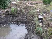 IMG_9894.webp IMG_9894.webp