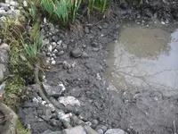 IMG_9895.webp IMG_9895.webp