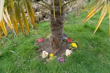 SAM_0922.webp