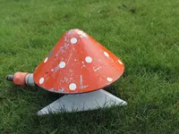 DSCN6029.jpg