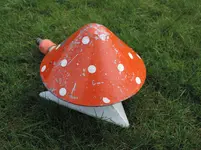 DSCN6030.webp