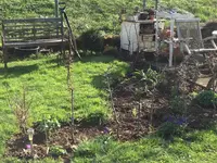 2016-04-06 vor der Nachpflanzung.webp