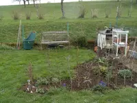 2016-04-06 nach der Nachpflanzung1 - nach Schnitt.webp