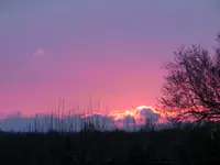 008.webp