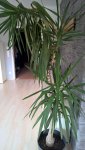 WP_20160409_11_40_59_Pro.jpg