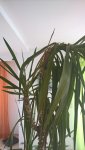 WP_20160409_11_47_48_Pro.jpg