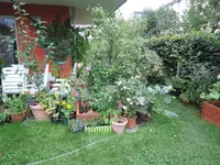 DSCN2041.jpg