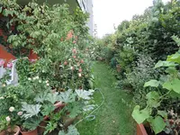 DSCN2047.webp