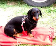 DSCF4076.webp