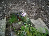 IMGP2676.webp