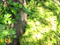 IMG_2466-003.webp