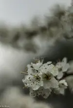 IMG_7086-2.webp