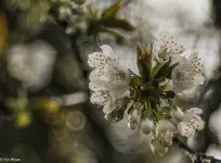 IMG_7092-2.webp