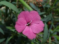 074.webp