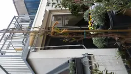 20160410_102213.webp