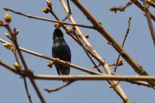 DSC_5376.webp