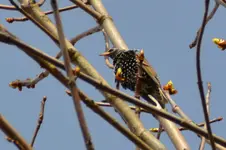 DSC_5378.webp