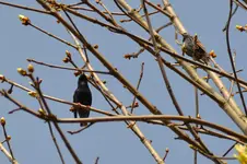 DSC_5383.webp
