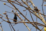DSC_5383.jpg