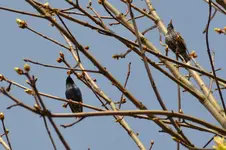DSC_5388.webp