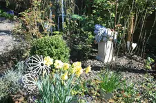 IMG_0278.webp
