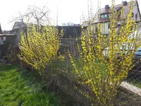 20160409_170414.webp