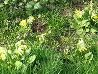 20160409_170335.webp