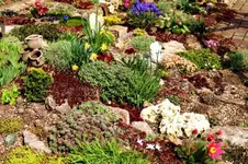 2016-04-09-0004.webp