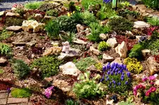 2016-04-09-0010.webp