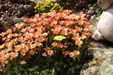 2016-04-09-0011.webp
