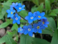 CIMG1864.webp