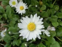 CIMG1874.webp