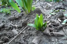 SAM_0938.webp