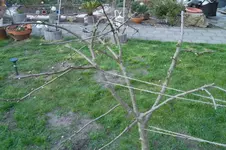 SAM_0947.webp