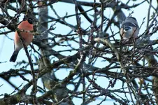 DSCF5612 (2).webp