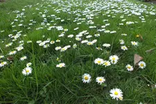 DSCF5615.webp