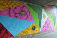 DSCF5617 (2).webp