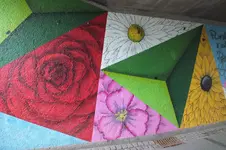 DSCF5619.webp