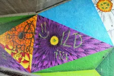 DSCF5620 (2).webp