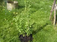 BILD4923.webp