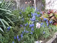 BILD4915.webp