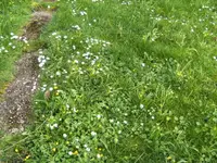 BILD4902.webp